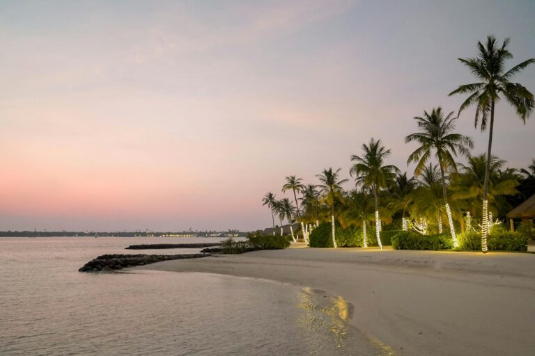 Serene tropical beach at sunset with palm trees and soft pastel skies.