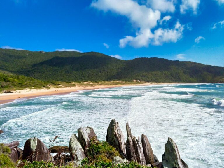 Beautiful coastal landscape featuring waves crashing against the shore with lush mountains in the background.