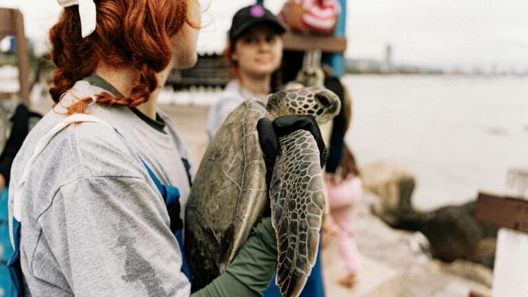 Volunteers hold a sea turtle before releasing it into the ocean, promoting eco-friendly conservation.