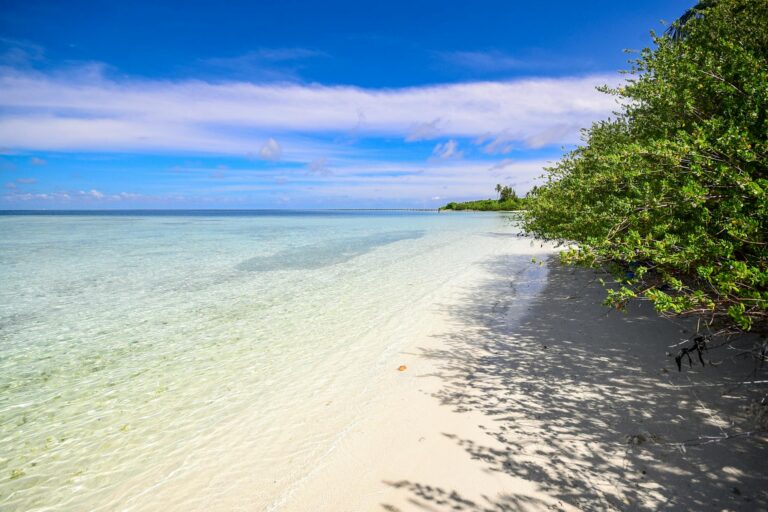 Pristine beach in Laamu Atoll, Maldives with clear waters and lush greenery.