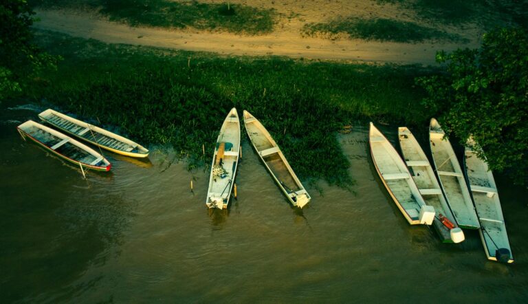 Aerial shot of boats moored along the lakeshore in São João da Barra, Brazil.