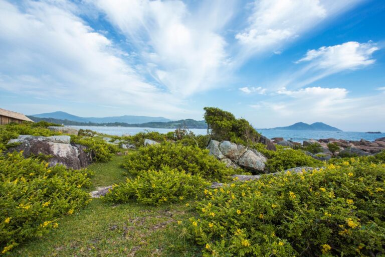 Vibrant coastal view with rocks, greenery, and blue sky in Ibiraquera, Brazil.