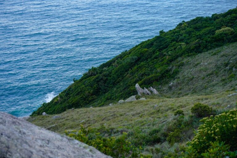 Lush green hillside leading to ocean waves in Florianópolis, Brazil, showcasing natural beauty.
