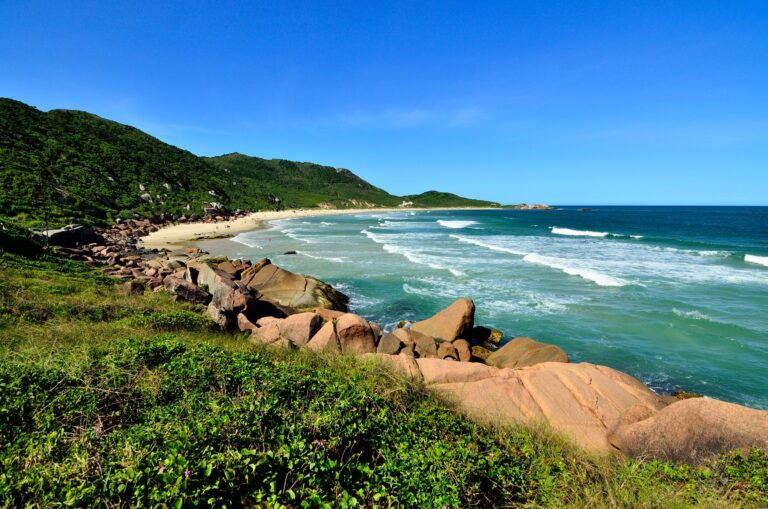 Stunning beachscape of Praia da Galheta with lush greenery and a serene ocean view in Florianópolis, Brazil.