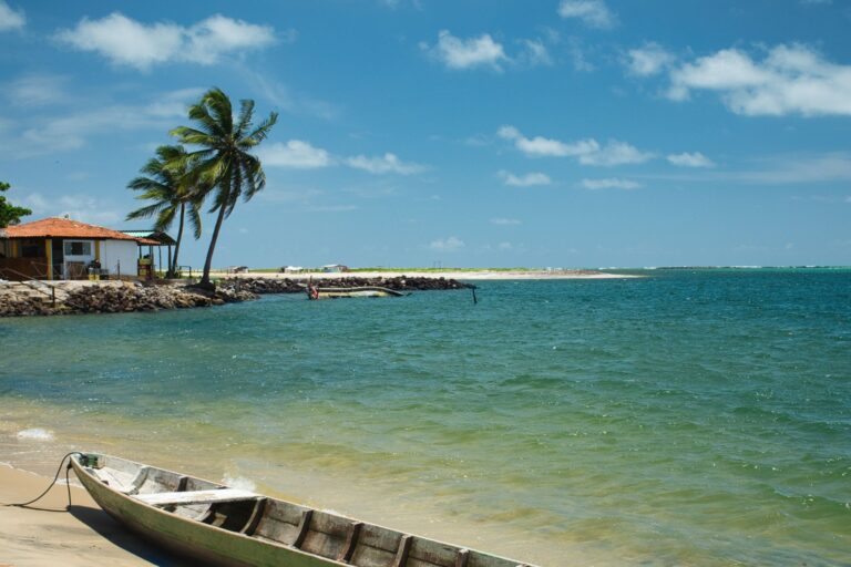 Tranquil beach scene with palm trees and a boat in Barra do Cunhaú, Brazil, perfect for a tropical getaway.
