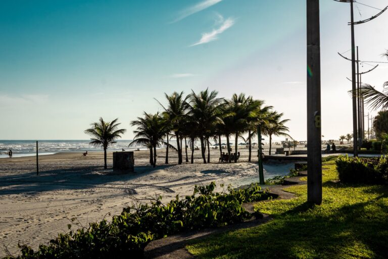 Beautiful beach landscape with palm trees in Praia Grande, São Paulo, Brazil.
