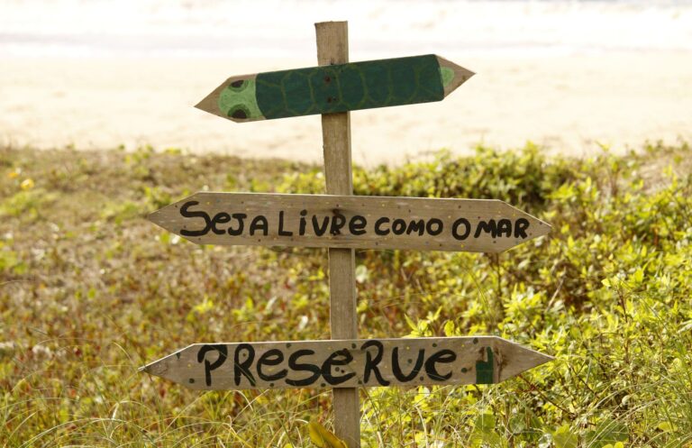 Wooden signs with messages at a beach in Guaratuba, Paraná, Brazil, urging preservation and freedom.