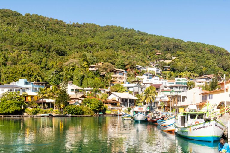 Boats docked in a bay with houses on a hill.