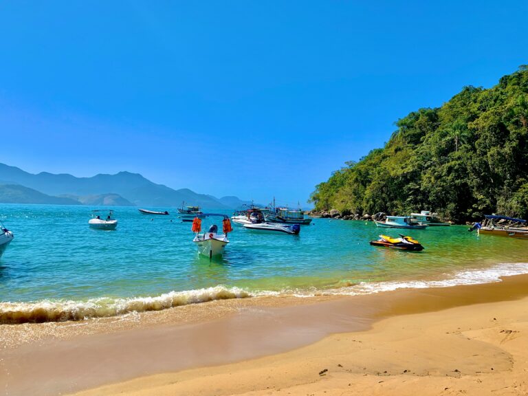 a beach with boats and people