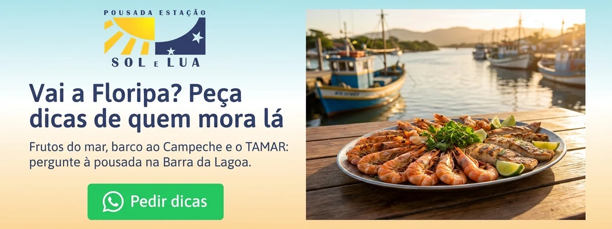 A/B B – Receber pelo WhatsApp dicas de quem mora na Barra da Lagoa: onde comer frutos do m