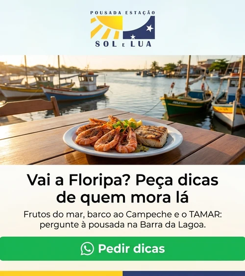 A/B B – Receber pelo WhatsApp dicas de quem mora na Barra da Lagoa: onde comer frutos do m