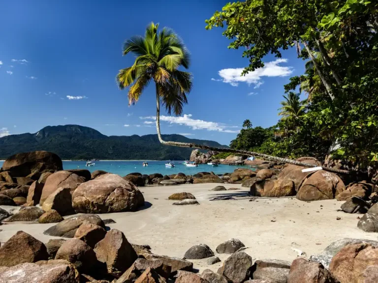 Sunlit tropical beach with a leaning palm tree, azure sea, and rocky coastline.