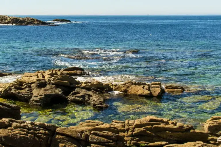 Serene view of a rocky shoreline with clear blue ocean water under a sunny sky.