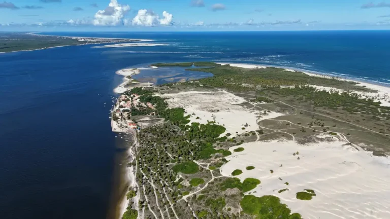 Stunning aerial view of the picturesque Brazilian coastline with clear blue waters and lush greenery.