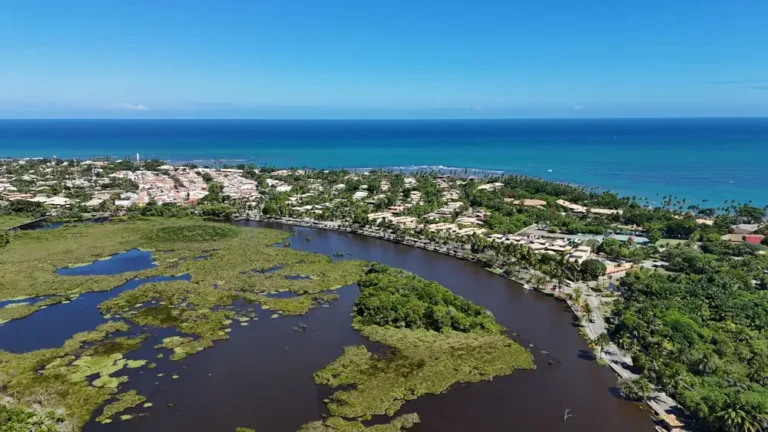 Discover the breathtaking aerial view of Praia do Forte, showcasing Brazil's vibrant coastal landscape and nature.