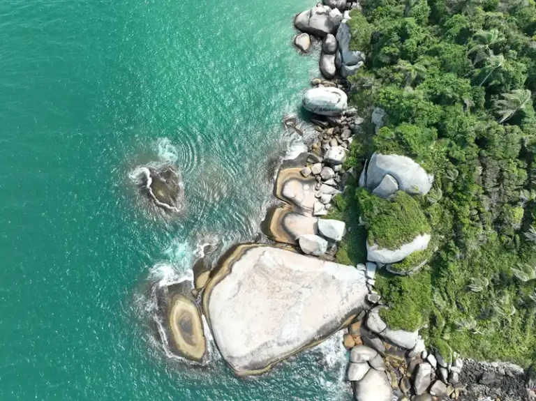 Oceano Verde Encontra Costa Rochosa E Floresta Verdejante NgJg9DY6ihY