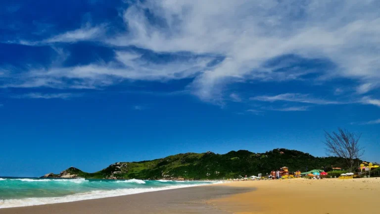 Explore the stunning Praia Mole beach with golden sands and vibrant waves in Brazil's Florianópolis.