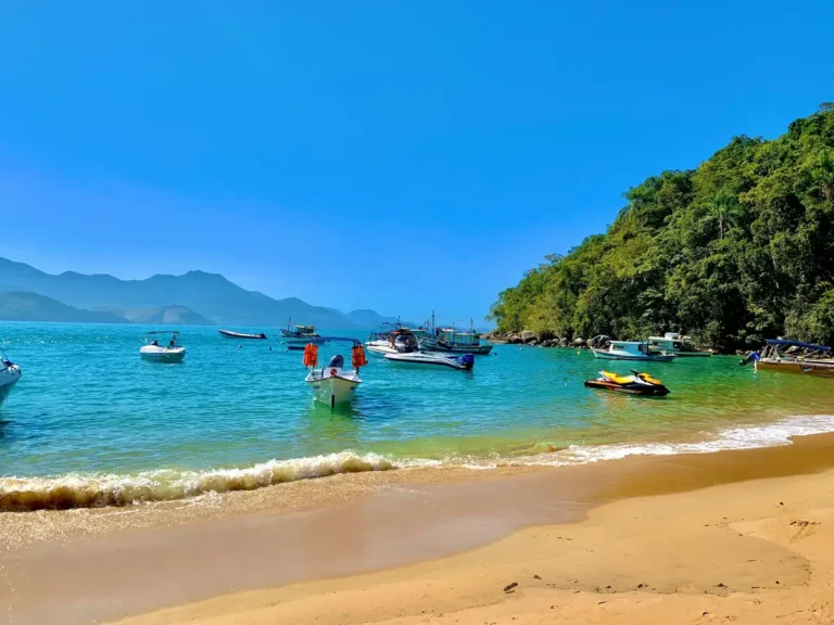 a beach with boats and people